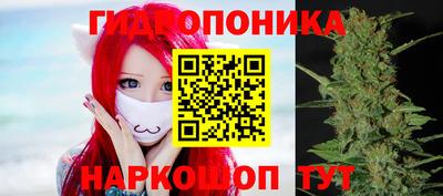 крисы Бузулук