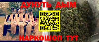 крисы Бузулук
