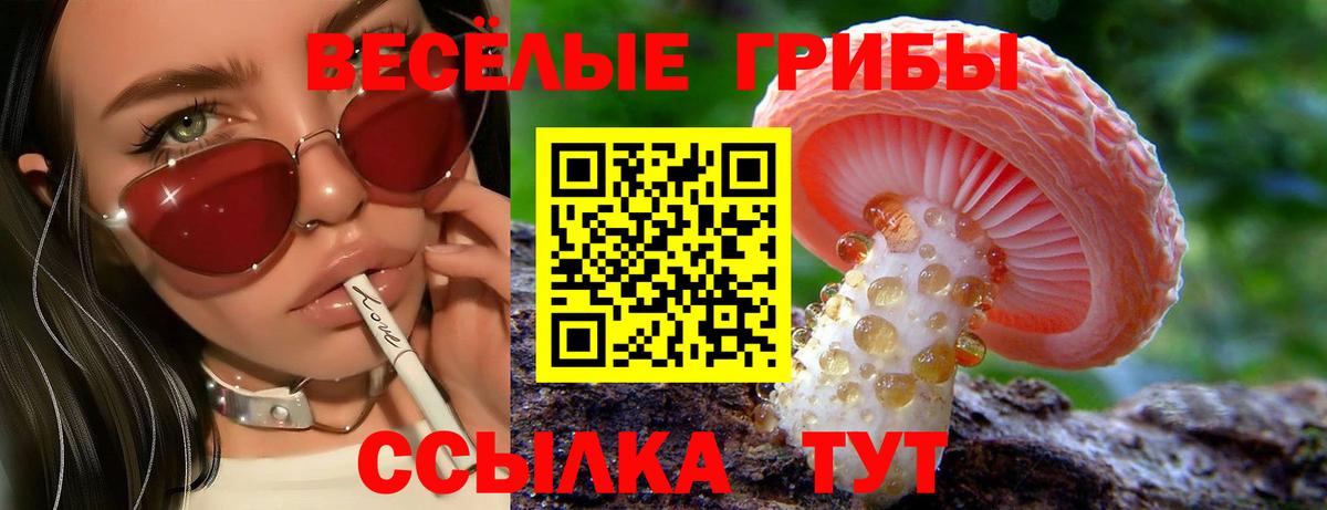 закладка  Галлюциногенные грибы мицелий  Вход с VPN  Аксай 